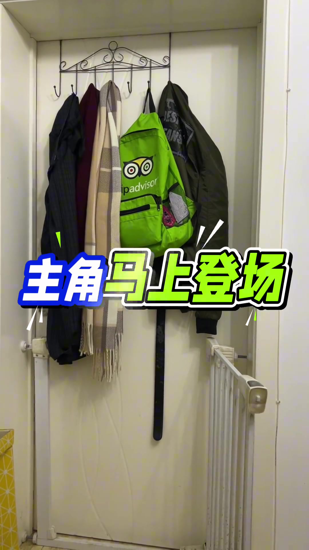 DB视讯官网太硬核😮70岁老太每天玩四小时魔兽世界：就是为了快乐 调解一下生活